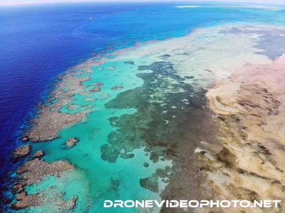 DJI_0918low.jpg